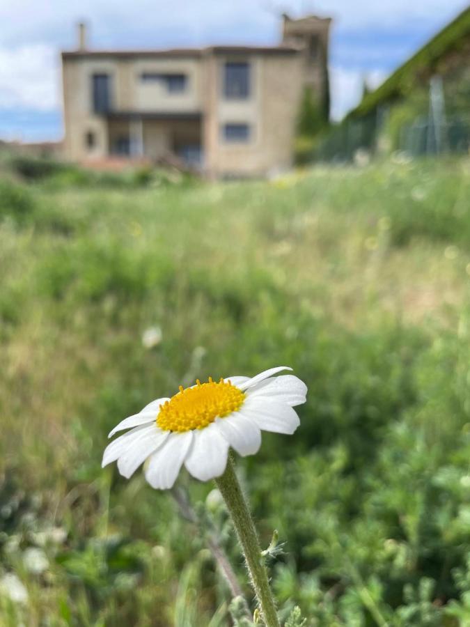 El Cipres De Valdeprados Villa Kültér fotó
